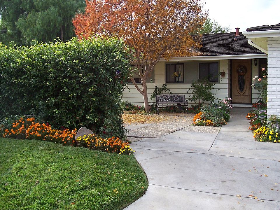 Front yard