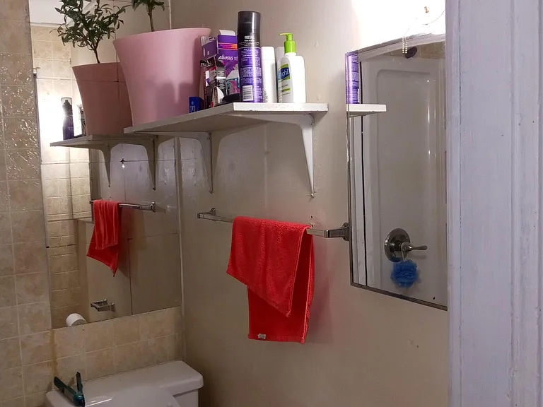347 Calhoun St #3R — Photo 37