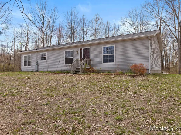 11166 Bailey Rd, Ravenna, MI 49451