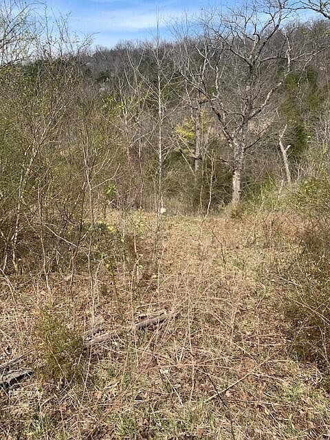2nd image of 265 Lakeview Drive