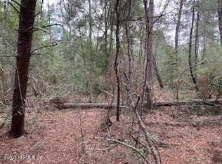 0 SE 4th Ave, Interlachen, FL 32148