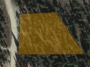 134 Bauxite Ln Alma, Alma, CO 80420