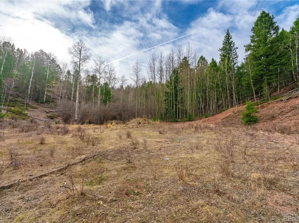 130 Grey Eagle Way, Cripple Creek, CO 80813