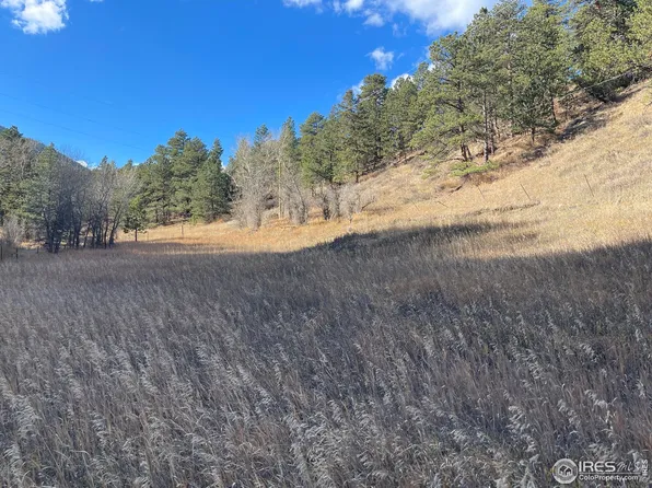 111 12th St, Jamestown, CO 80455