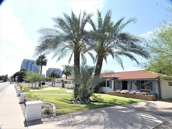 Palms and Landscaping