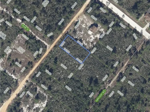 213 Carter Ave, Lake Placid, FL 33852