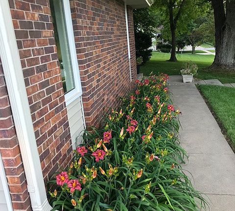 4th image of 6611 Woodthrush Ln