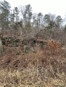 148 Cr, Eureka Springs, AR, 72632