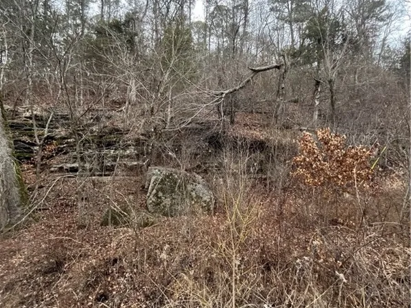 148 Cr, Eureka Springs, AR 72632