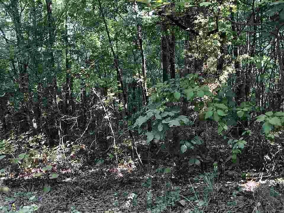 2nd image of Lots 18