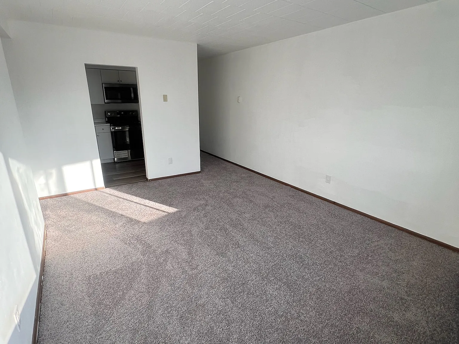 1 bed, $1,100 — Photo 4