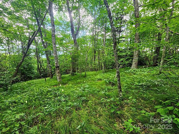 5th image of 99999 Spruce Patch Ln