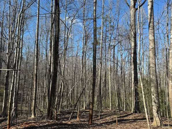 0 Hooper Rd Lot 4, Forest, VA 24551