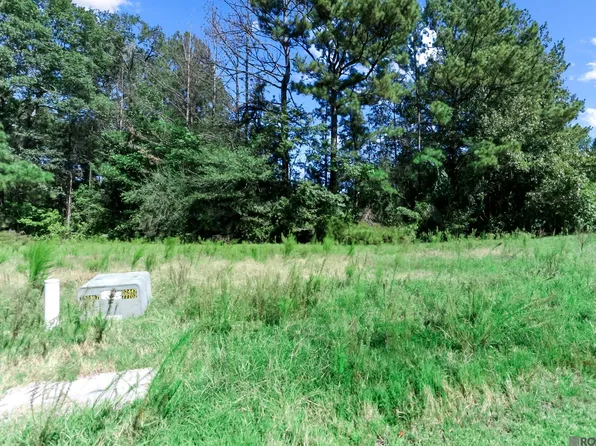 13803 Wood Duck Way, Saint Francisville, LA 70775