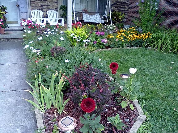 Crestmont Flowering Plants