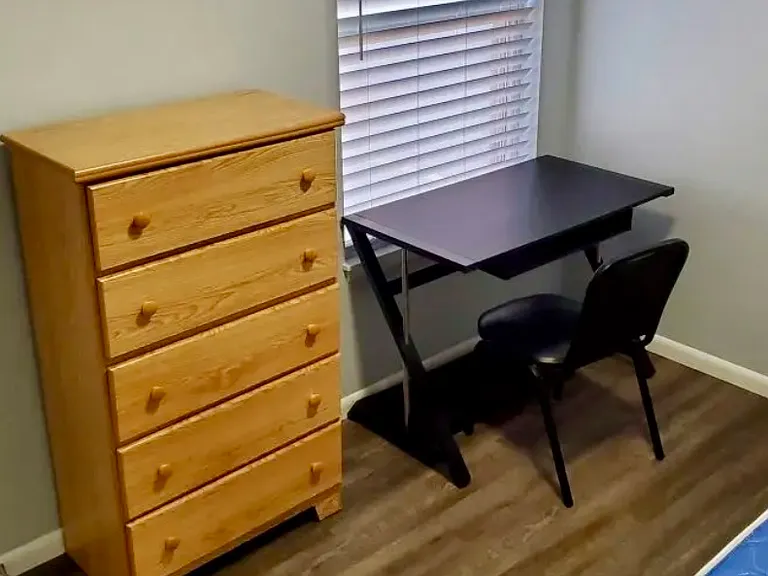 1010 West Springfield Avenue - Bailey 3BR — Photo 8