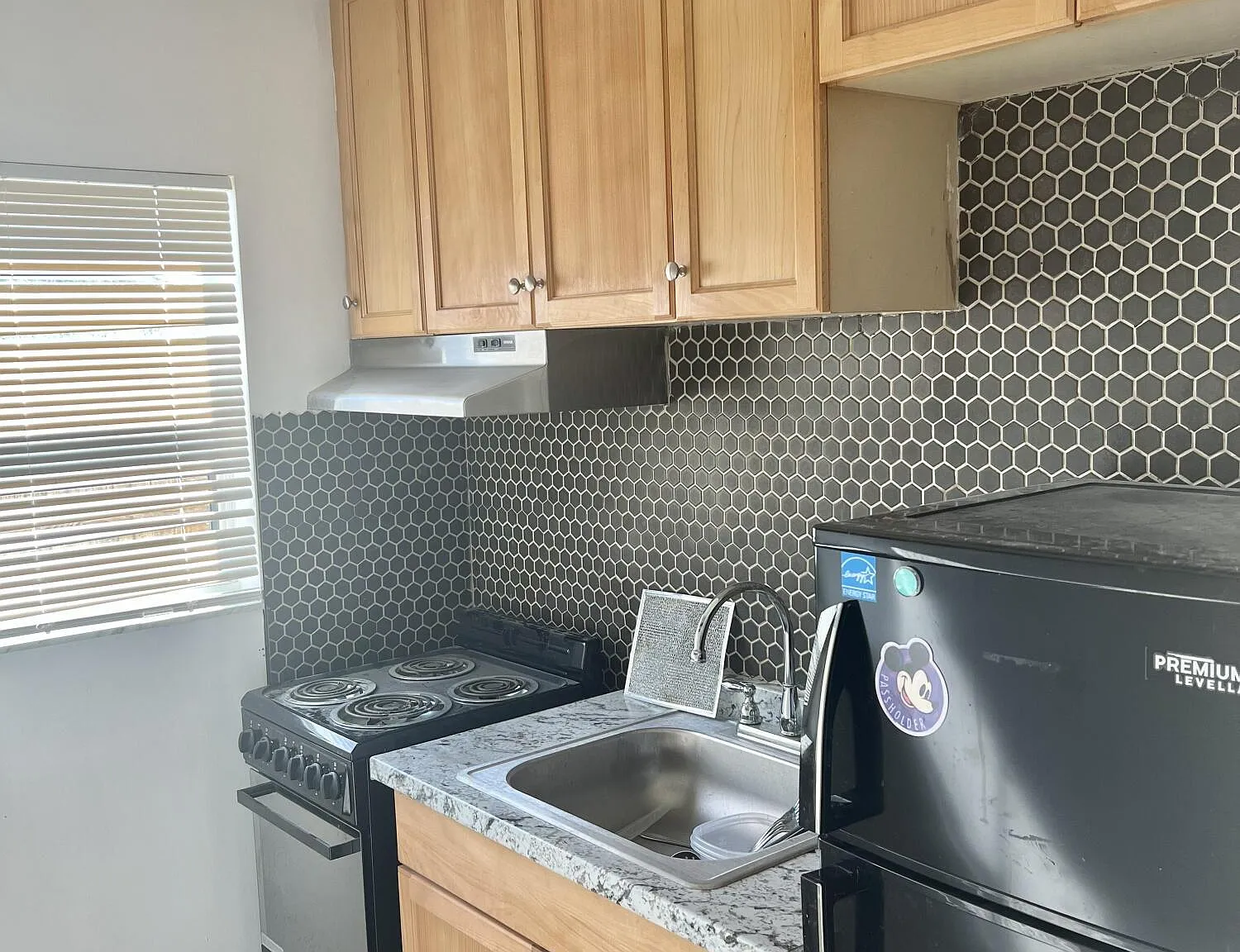 1 bed, 1.0 bath, 651 sqft, $1,100 — Photo 4