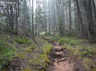 28 Feldspar Rd, Florissant, CO 80816