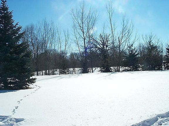 View Overlooking Back Yard