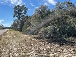 5th image of Unit 6 Marion Oaks