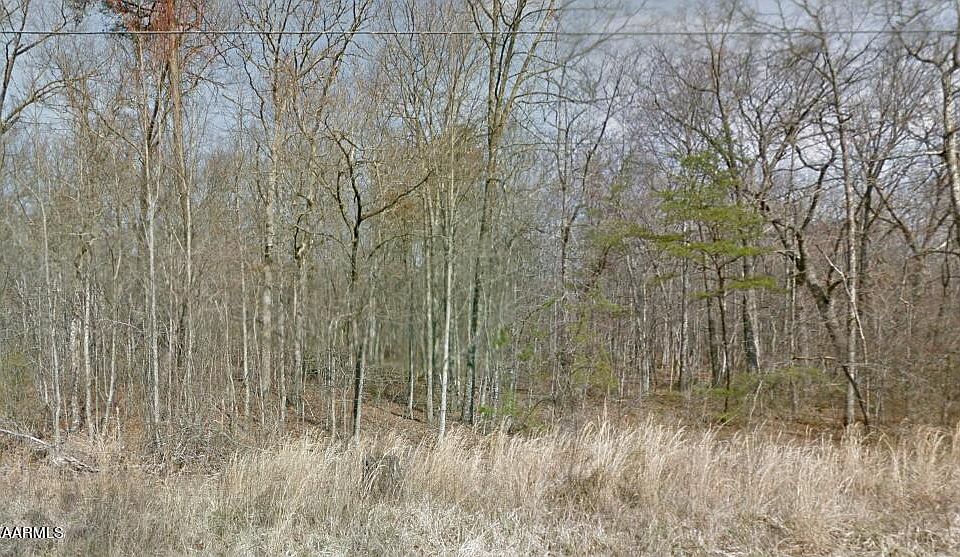 2nd image of Jim Garrett Rd