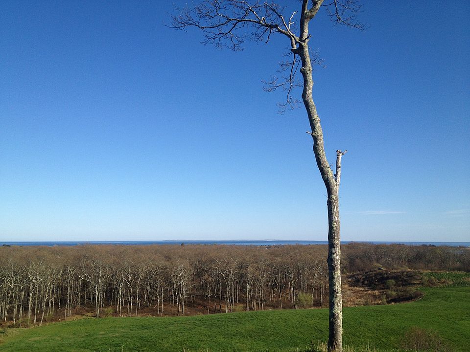 2nd image of 81 Sea View Dr