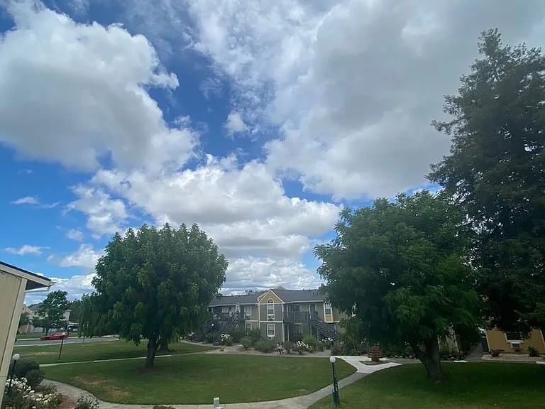 Pioneer Apartments — Photo 2