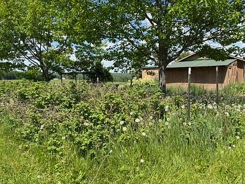 5th image of 664 Frenchville Road