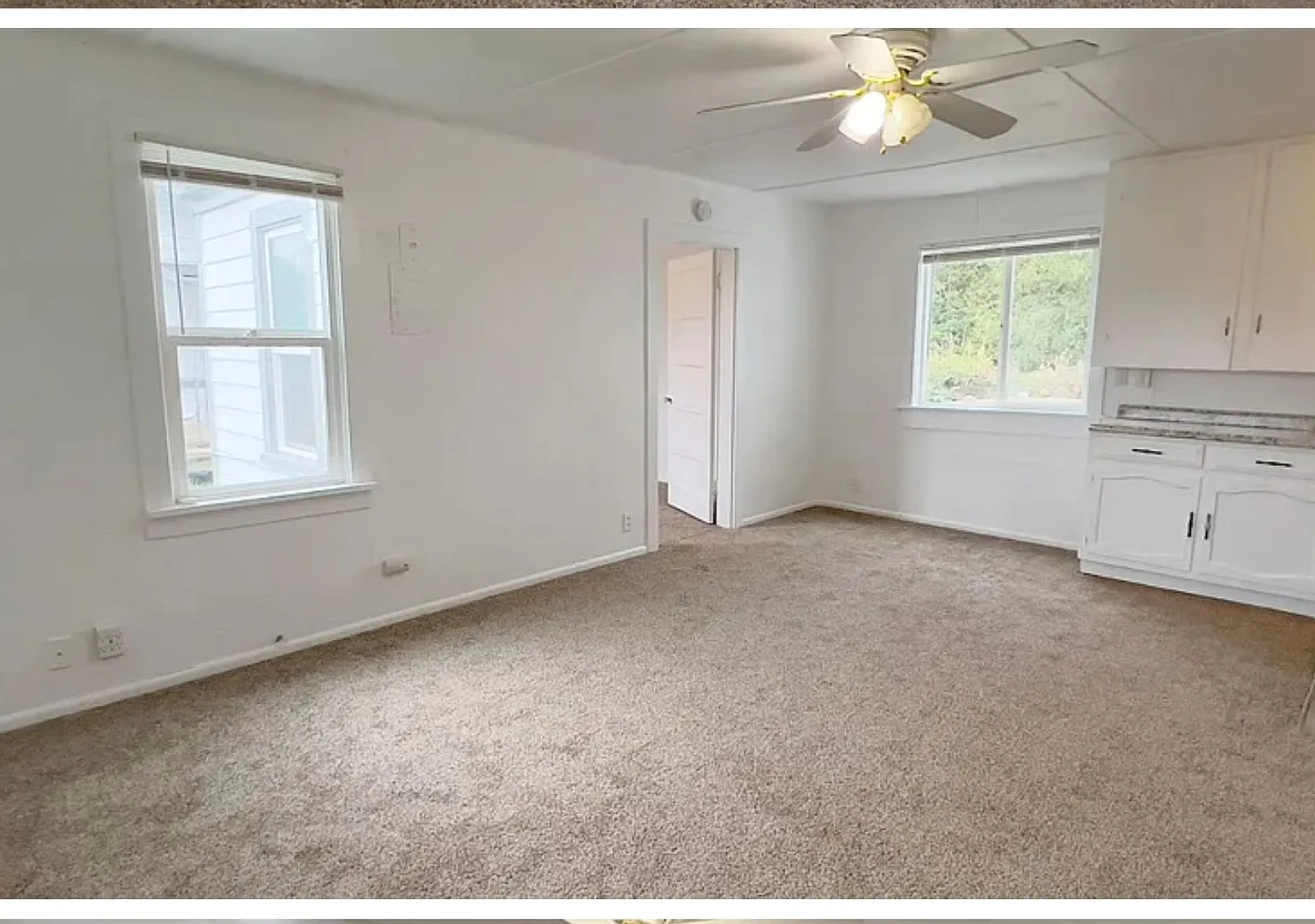 92306 Clover — Photo 4