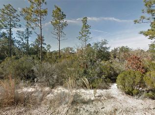 NE 100th Ave, Bronson, FL 32621
