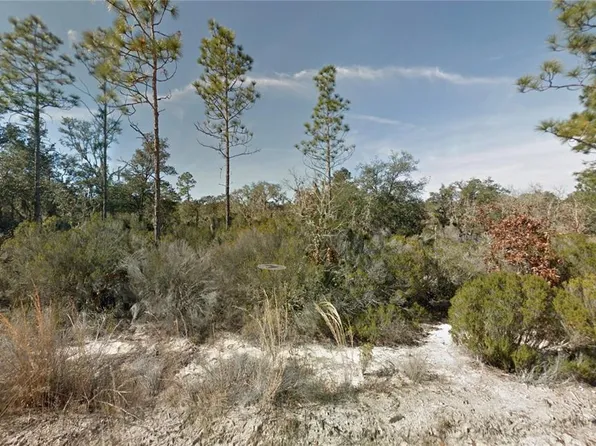 NE 100th Ave, Bronson, FL 32621