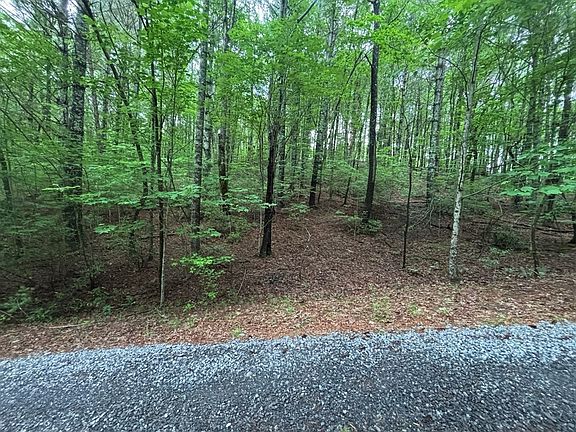 4th image of Lot 7 Horse Camp Drive LOT 7