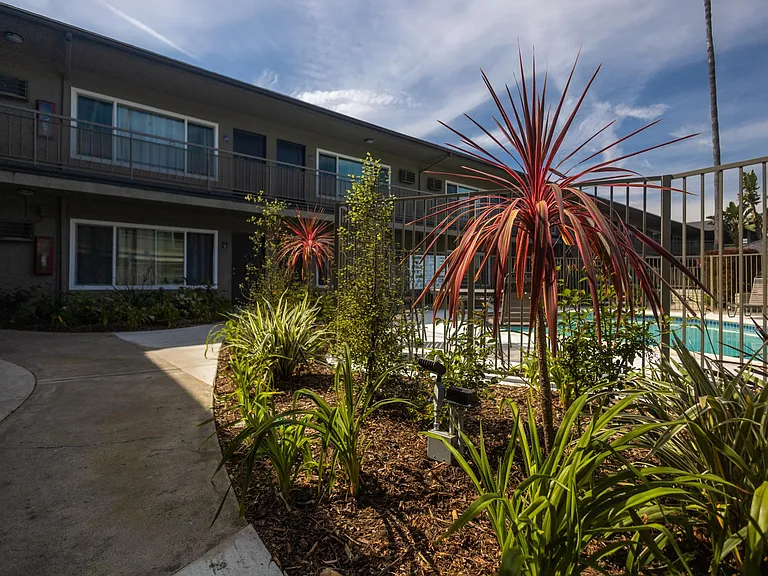 Royal Palms — Photo 7