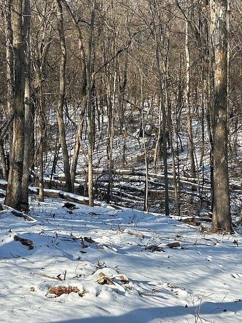 2nd image of 354 Pace Ln