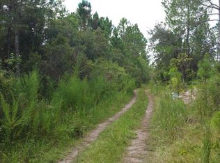 0 Hamelin Ln, New Smyrna Beach, FL 32168