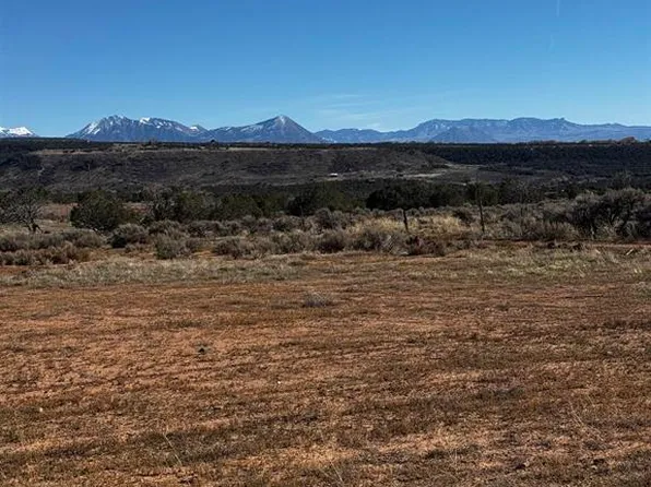 TBD  Lot 14 2625 Lane, Cedaredge, CO 81413