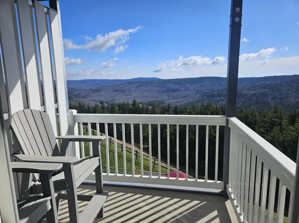 288 Mountain Lodge Ln, Snowshoe, WV 26209