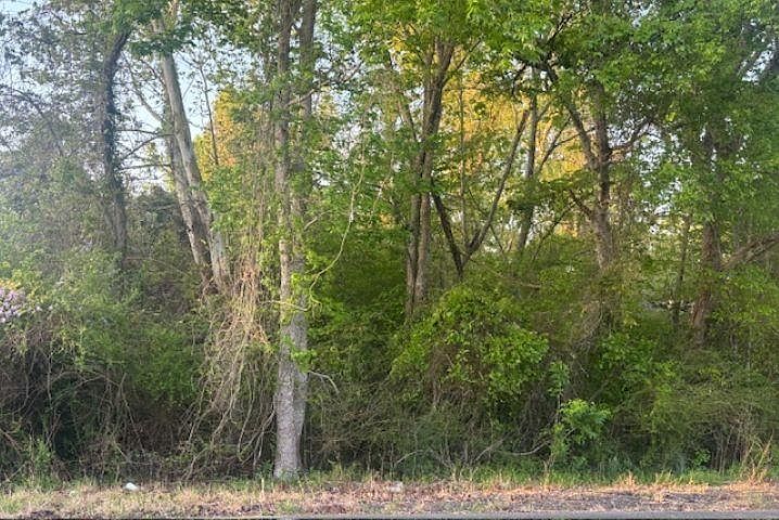 2nd image of 0 Big Woods Edgerly Rd