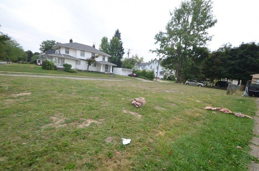 2nd image of 942 Brunswick Rd