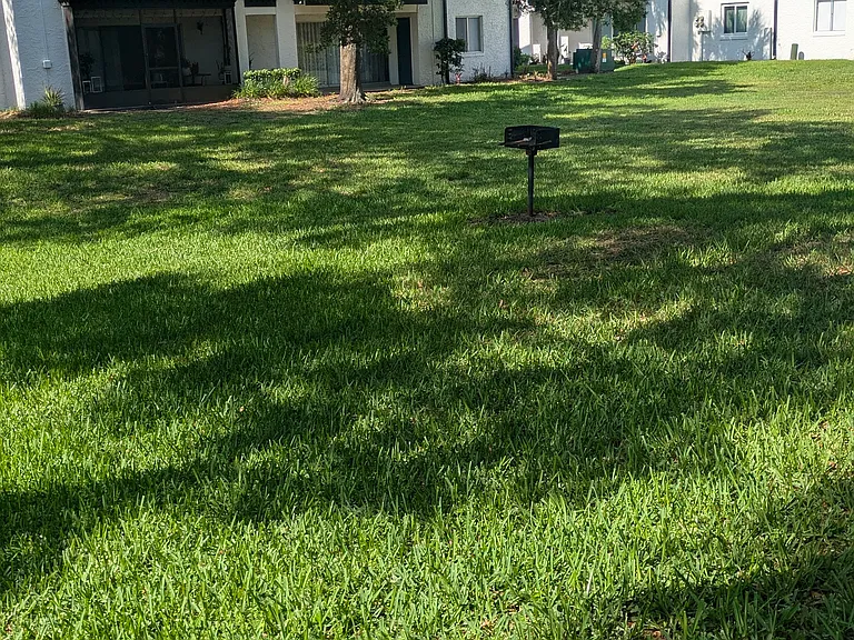 View from back patio