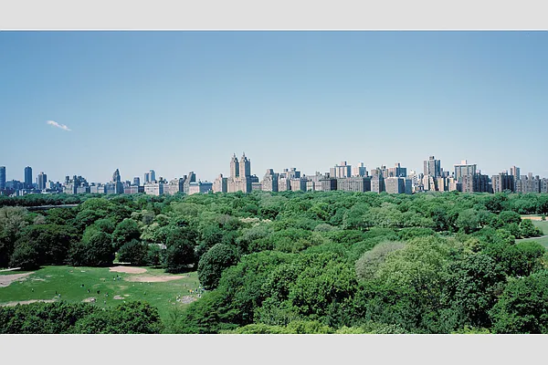 Sold by Stribling | media 19