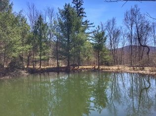 465 Autumn Breeze Rd, Denver, NY 12421