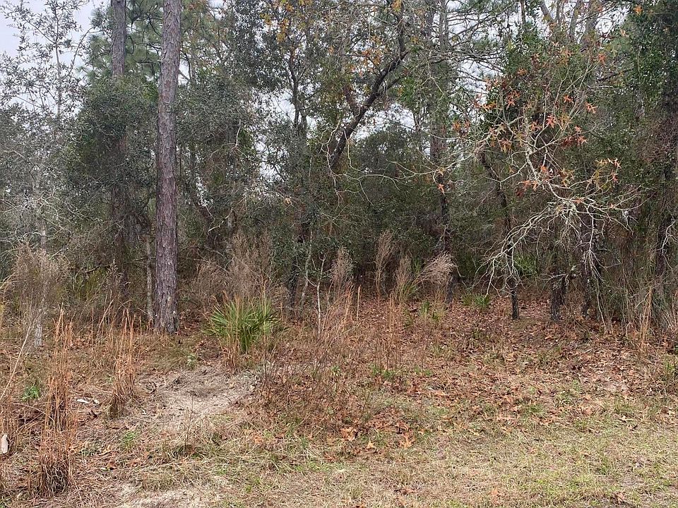 1st image of 0 Dotted Wren Ave