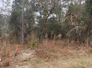 0 Dotted Wren Ave, Brooksville, FL 34613