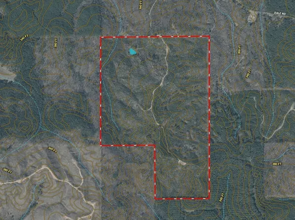0 Dale Rd, Duck Hill, MS 38925