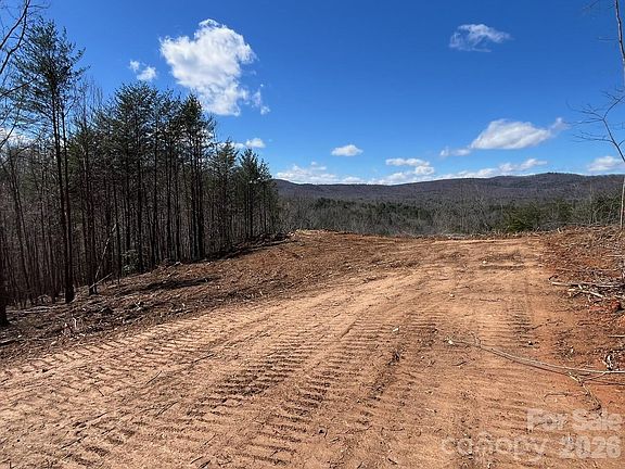 4th image of Vein Mountain Rd #2