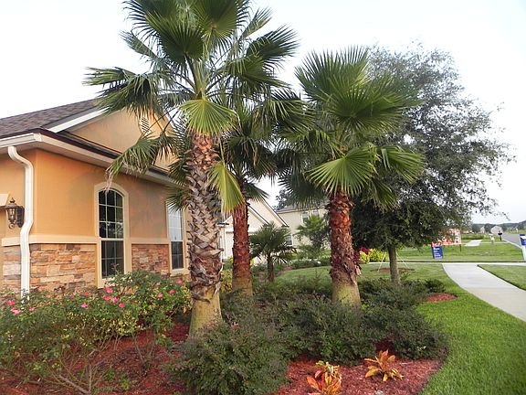 Garage Front Landscaping