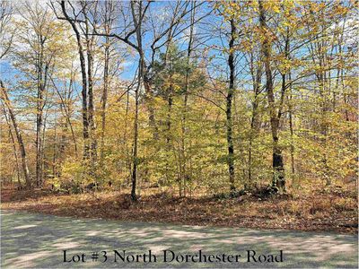 Lot #3 North Dorchester Road, Wentworth, NH, 03282