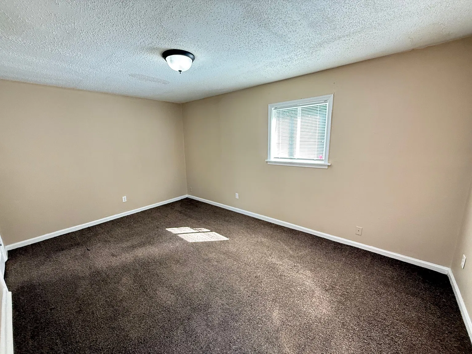 321 Glencoe Rd — Photo 3
