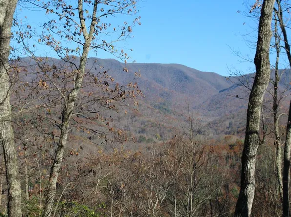 4 Gabriel Rdg, Hayesville, NC 28904